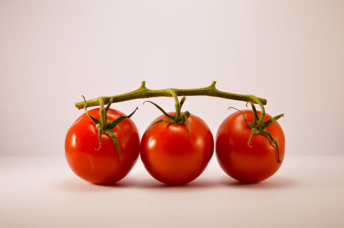 méthode pomodoro tomate productivité