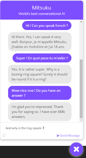 chatbot5