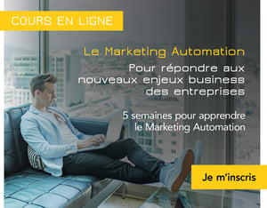 cours-marketing-automation-austin-distel-unsplash500
