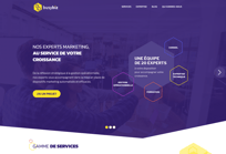 Site Web Busybiz