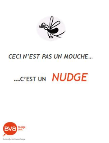 mouche-1